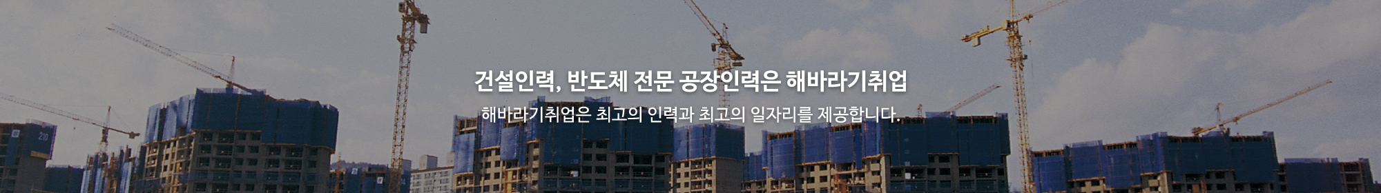 해바라기취업_이미지pc